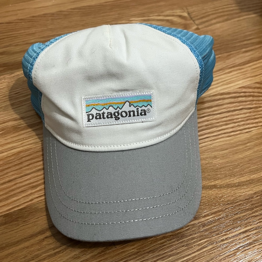 Patagonia Trucker Hat